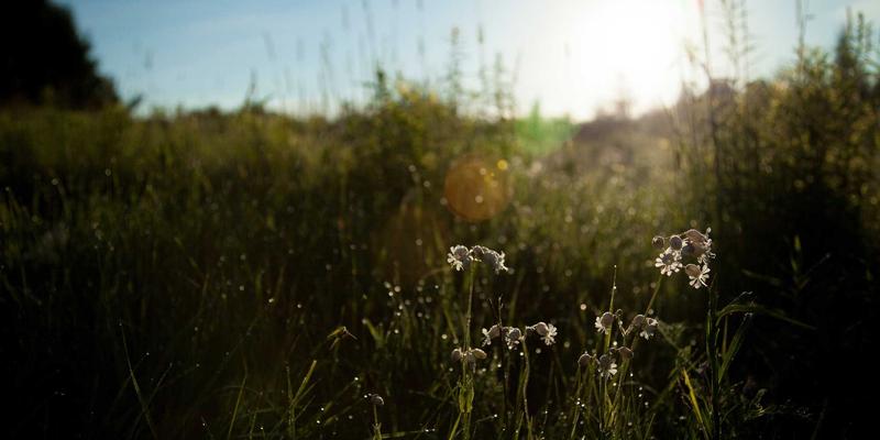IaaS基础设施